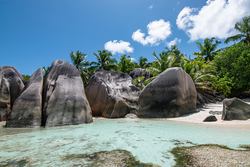 Stunning landscape with white sand beach, coconut palm trees and granite rocks. Tropical vacation destination, La Digue, Seychelles.