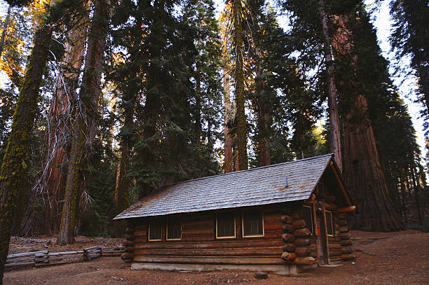 istock House in the Woods 178438026