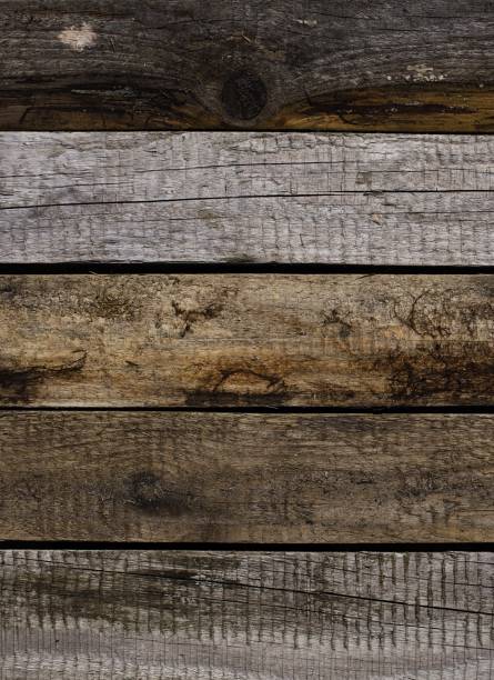 istock A captivating image of weathered pine planks neatly aligned in rows, displaying various wood tones shaped by the elements - rain, sun, and wind. The boards form a symmetrical pattern, shot perpendicularly to them. 1784381869