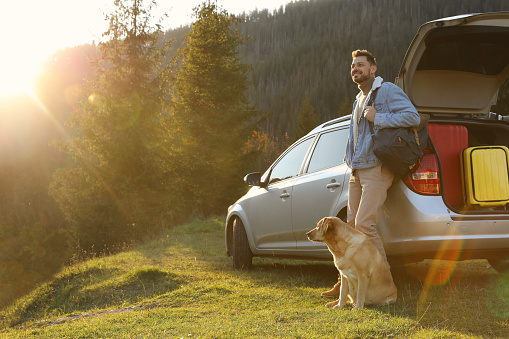 Happy man and adorable dog near car in mountains. Traveling with pet