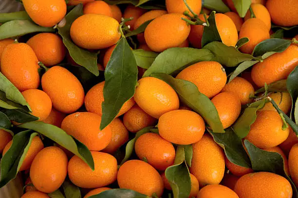 Fresh orange kumquats (Citrus fruit). Fruit with green leaves on the market in Paris.