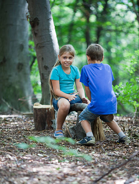 teeter-totter en madera - totter fotografías e imágenes de stock