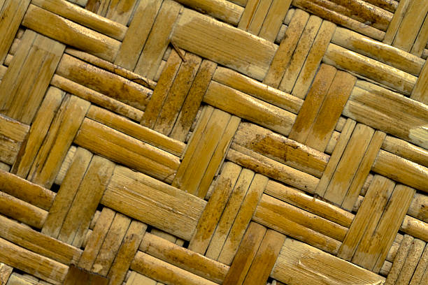 質感のあるパターン背景の竹の壁の前にトロピカルなバンガロー ストックフォト