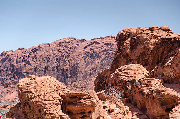 Gran rocas del desierto de Nevada en rojo - foto de stock