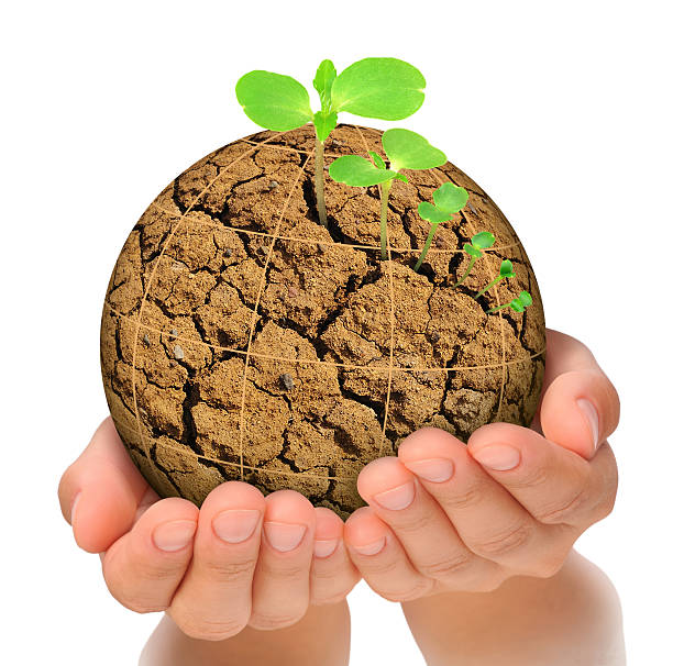 istock Evolution concept with a plant growing out of parched planet 178441568