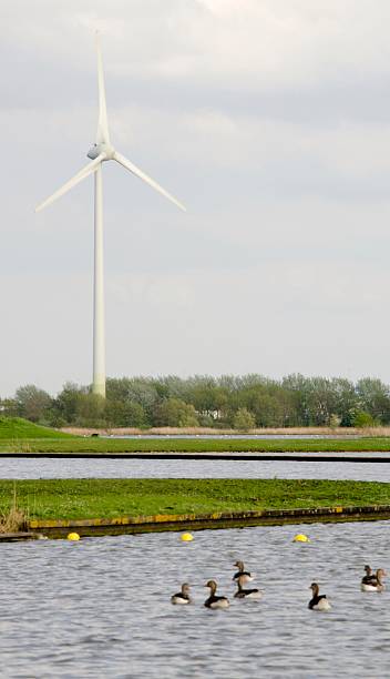 istock Wind turbine next to a lake 178441691