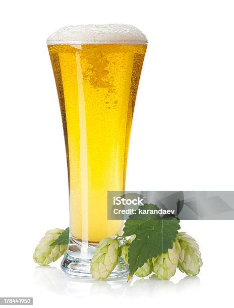 ラガービールカップとホップ支店 - アルコール飲料のストックフォトや画像を多数ご用意 - アルコール飲料, カットアウト, カップ