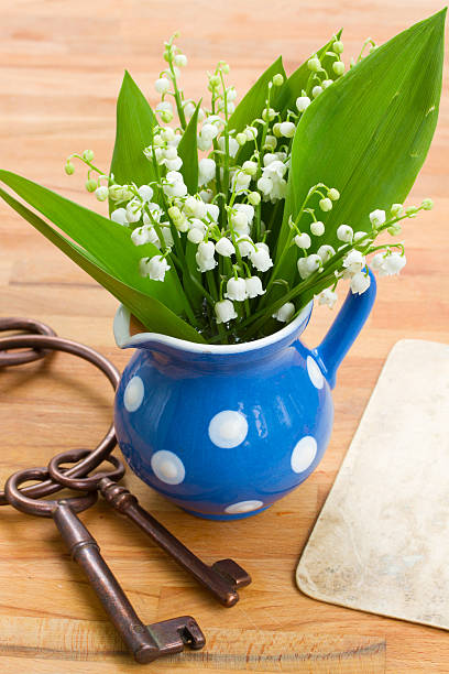 Lilly of the valley bouquet Lilly of the valley bouquet on wooden table blue jug stock pictures, royalty-free photos & images