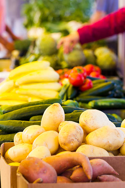 produtos frescos - vegetabilis - fotografias e filmes do acervo