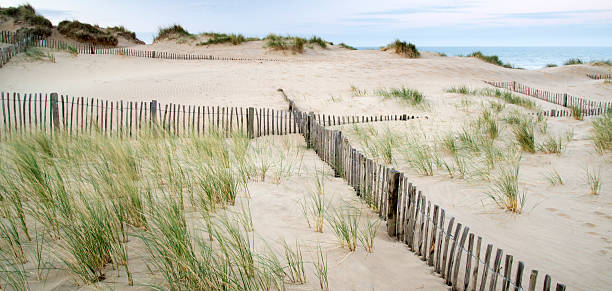 istock Grassy sand dunes landscape at sunrise 178442971