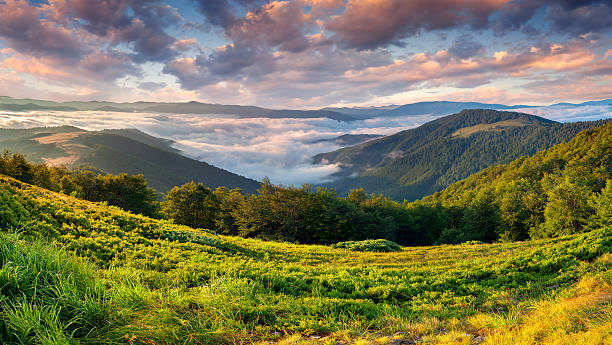 istock Beautiful summer landscape in the mountains 178443342