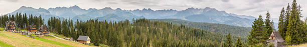 istock Panoramic view on Polish Tatra Mountains from Szymkowka. 178443400