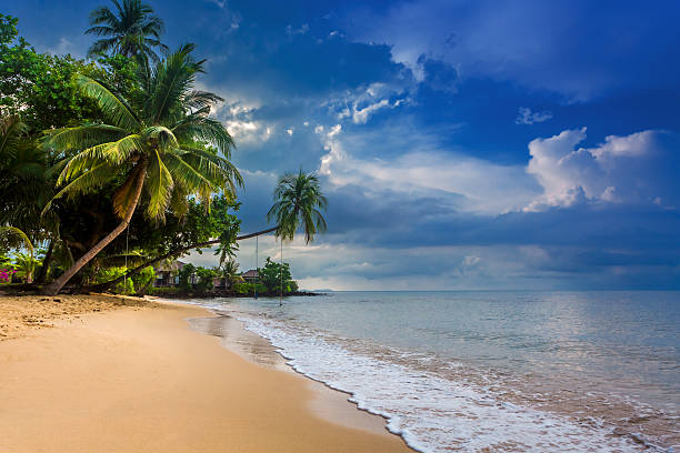 istock Paradise nature, sea water 178443402