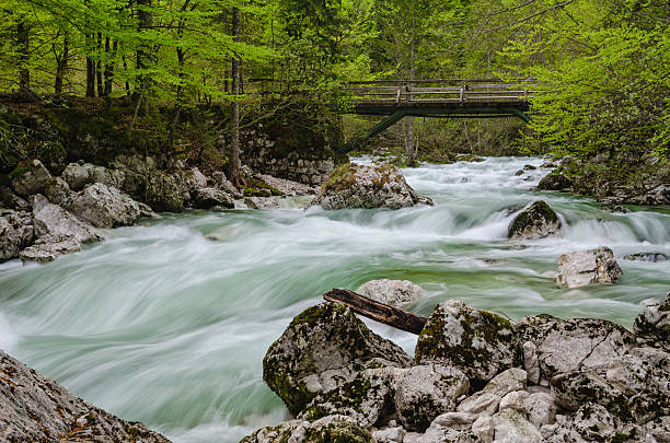 istock Bridge at Savica waterfall in Slovenia 178444138