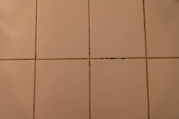 istock Bathroom tiles with mold in the grout 1784445149
