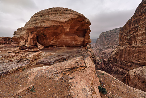 Typical overcast day landscape at Petra, Jordan, rocky walls around narrow canyon, few small bushes growing in red dusty ground