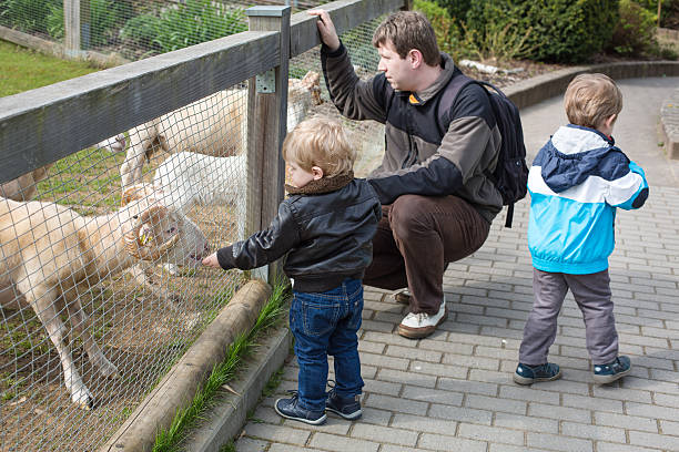 istock Two little boys and father feeding animals in zoo 178445772