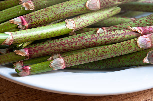 Japanese knotweed stalks have been cleaned and sit ready on a plate for cooking. Although Japanese knotweed is an invasive plant, it is also a wild edible.