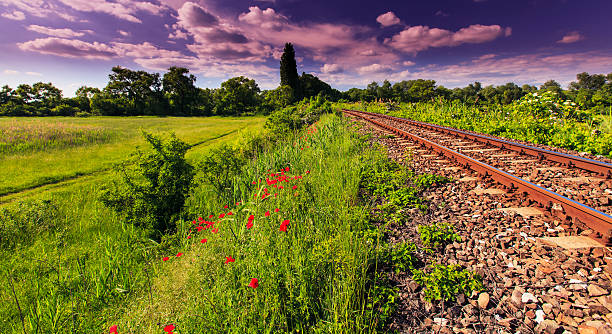 istock Scenic railroad in rural area 178446449