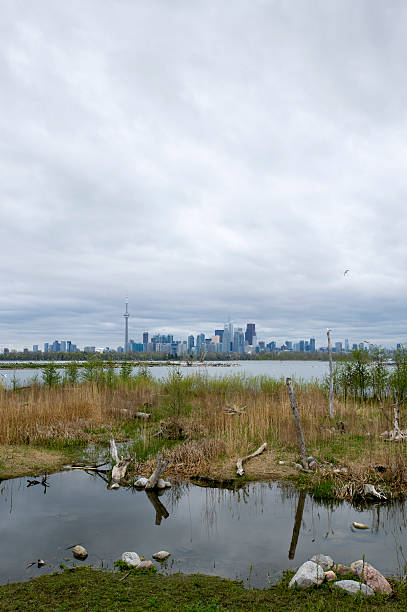 istock Wetlands in front of Toronto skyline 178446850