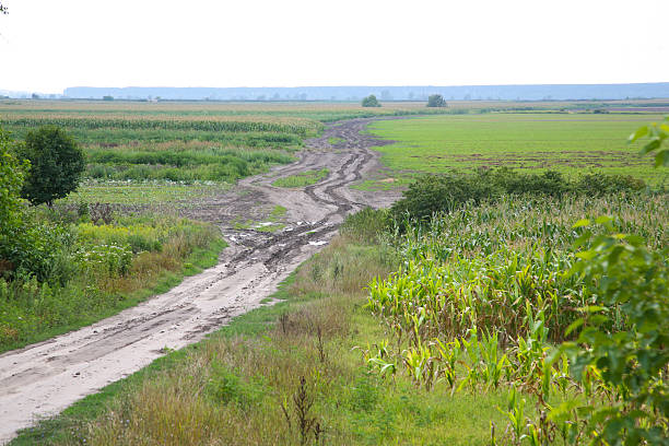 Strada tra i campi vuoti - foto stock