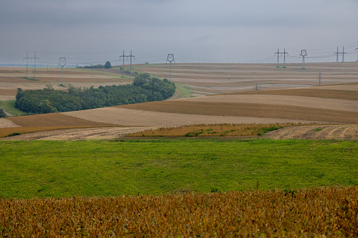 Captured in the Czech Moravian countryside, this image reveals the beauty of the undulating fields, painting a tapestry of alternating colors akin to fabric stripes. The photograph was taken on a cloudy, misty day, imbuing the scene with an enchanting and dreamy ambiance. Nature's artistry is on full display as the fields seem to ripple like waves, creating a sense of harmony in this tranquil landscape