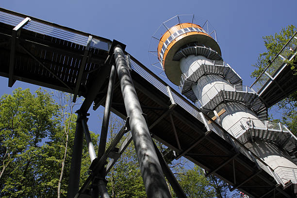 Treetop path in the national park Hainich