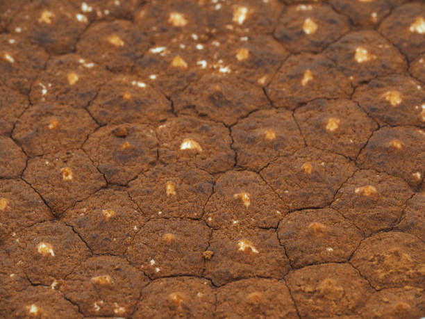 istock Tiramisu cake close up view 1784478928