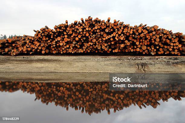 I Log - Fotografie stock e altre immagini di Acqua - Acqua, Ambientazione esterna, Bosco