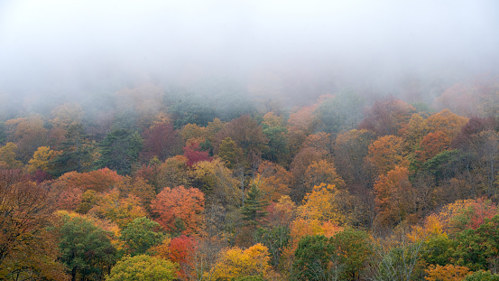 Fall foliage in Grafton, Vermont