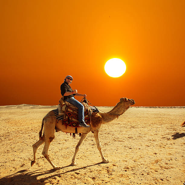 Man in glasses riding a camel in desert at sunset stock photo
