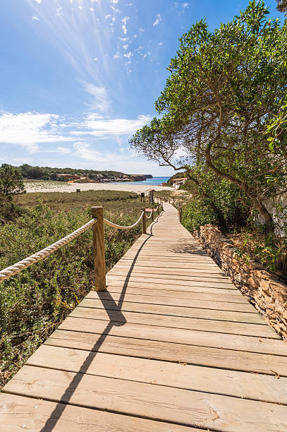 istock Beach way to Saona in Formentera Balearic islands 178449871