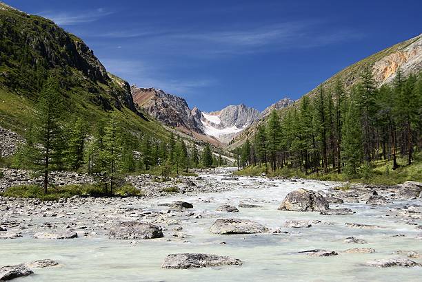 karagem valley e obyl-ojug montagne di altay russia - hill grass heath moor foto e immagini stock