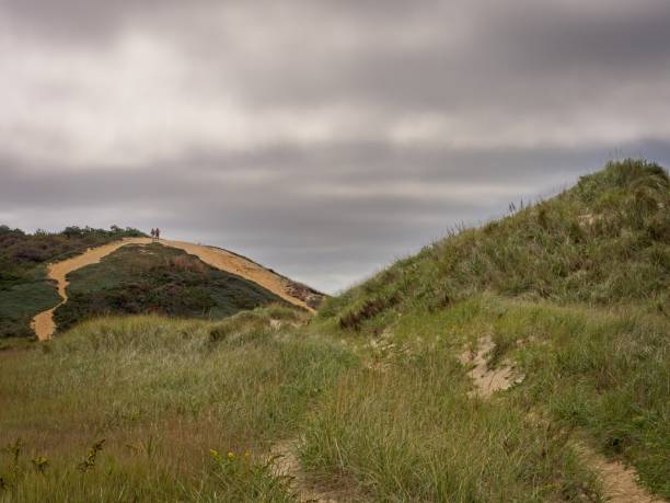 istock Along the Great Island trail of Cape Cod National Seashore 1784521093
