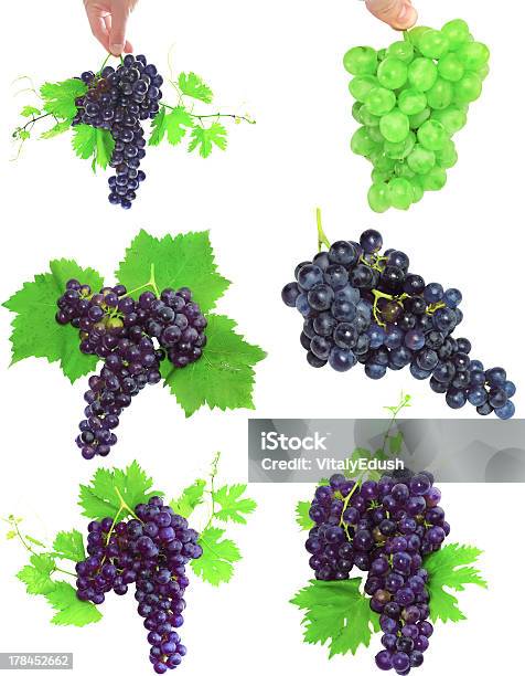 Collage Di Uve Con Fogliame Isolato - Fotografie stock e altre immagini di Azienda vinicola - Azienda vinicola, Bianco, Close-up