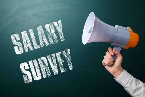 istock Man with megaphone and phrase Salary Survey on green chalkboard, closeup 1784527132