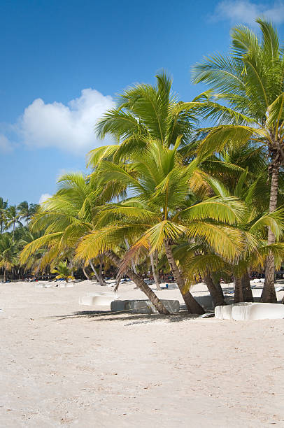 istock Fantastic tropical beach on the peninsula of Samana 178452717