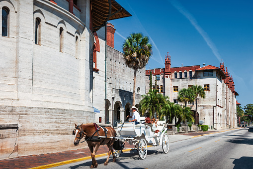 Sightseers take a horse-drawn carriage ride in St. Augustine, Florida, USA on a sunny day, with the Lightner Museum in the background.