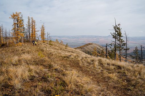 Panoramic view from the mountains to the surroundings, autumn landscape and golden forest, dark clouds overhead. A group of tourists walks to the top of the mountain. High quality photo