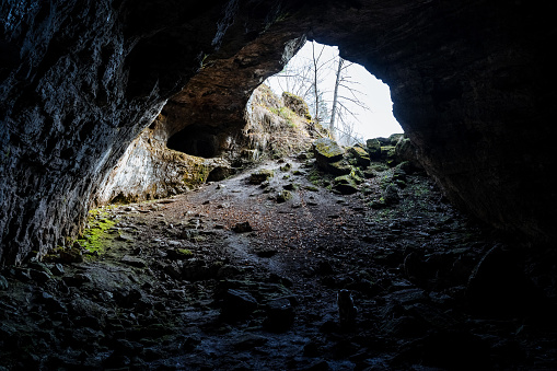 Panoramic view of the exit from the cave. sunlight penetrates and illuminates the exit from the cave, the walls are covered with green moss. Exploring caves and wildlife. High quality photo. High quality photo