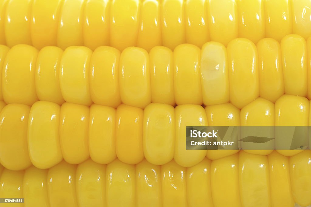 Corn Corn background Agriculture Stock Photo