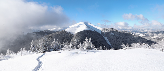 A panoramic view of high mountain with snow white peak. Landscape on winter day. Forest. Lawn covered with snow. Evergreen trees in the snowdrifts. Christmas wonderland. Snowy wallpaper background.