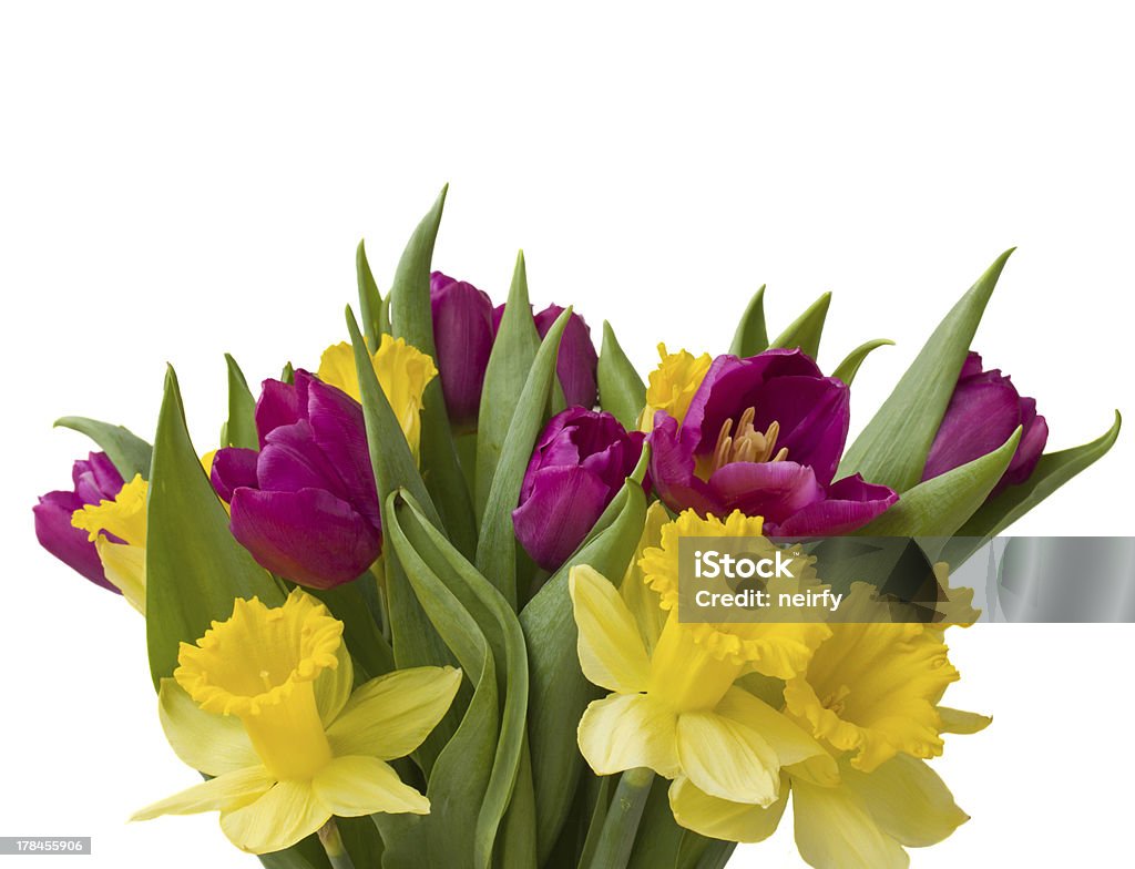 Frühling-bouquet - Lizenzfrei Narzisse Stock-Foto