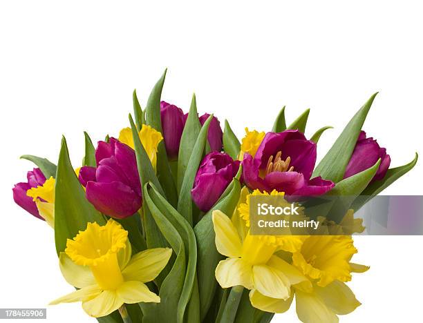 Frühlingbouquet Stockfoto und mehr Bilder von Narzisse - Narzisse, Tulpe, Blumenbouqet