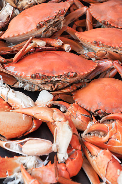 istock Steamed crabs asia cuisine 178456848