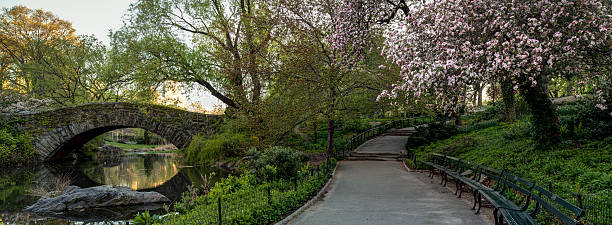 istock Central Park, New York City Gapstow bridge 178457512