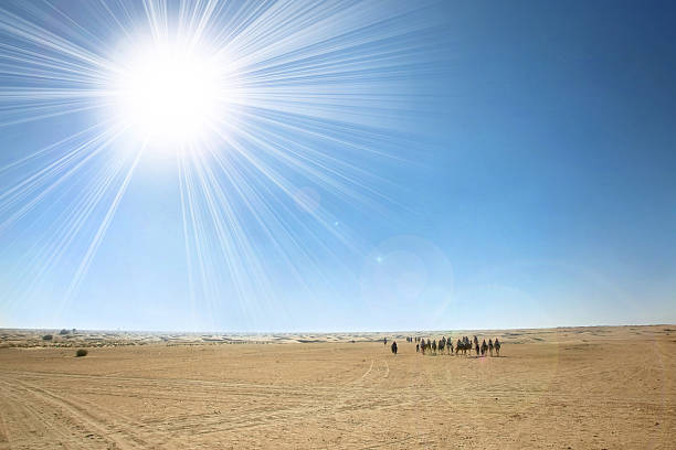 Sahara desert with sun Douz, Kebili, Tunisia - September 17, 2012 : Beduins leading tourists on camels at the Sahara desert on September 17, 2012 in Douz, Kebili, Tunisia tunisia sahara douz stock pictures, royalty-free photos & images