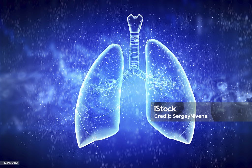 Schematic illustration of human lungs Schematic illustration of human lungs with the different elements on a colored background. Collage. Anatomy Stock Photo