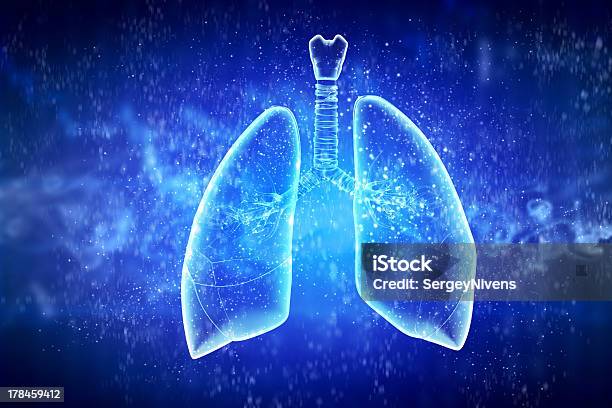 Schematic Illustration Of Human Lungs Stock Photo - Download Image Now - Anatomy, Biology, Blue