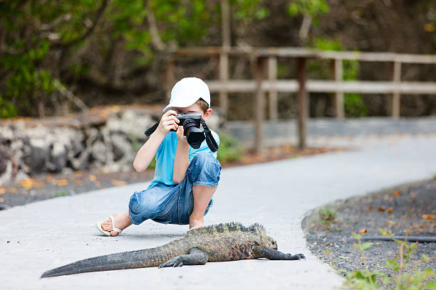 Young nature photographer